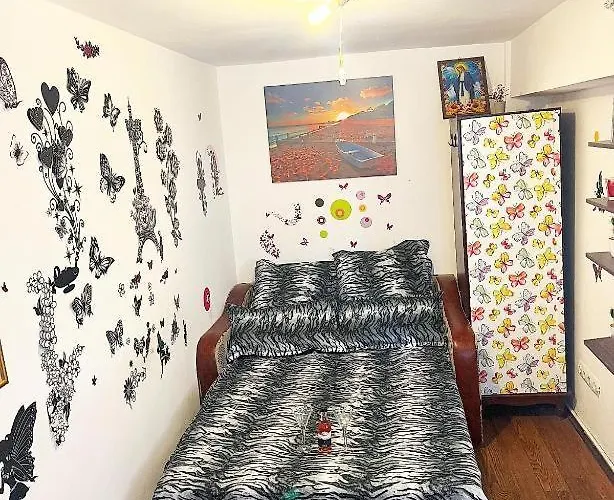 Andu Apartament