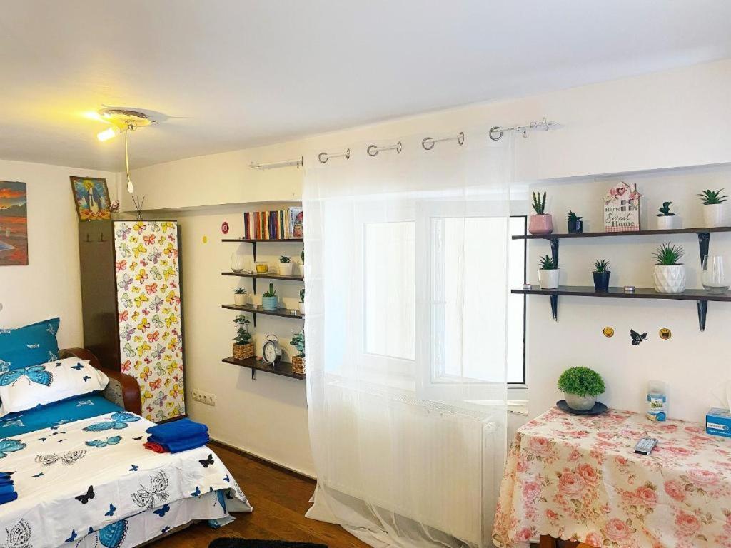 Apartment Andu Bucharest