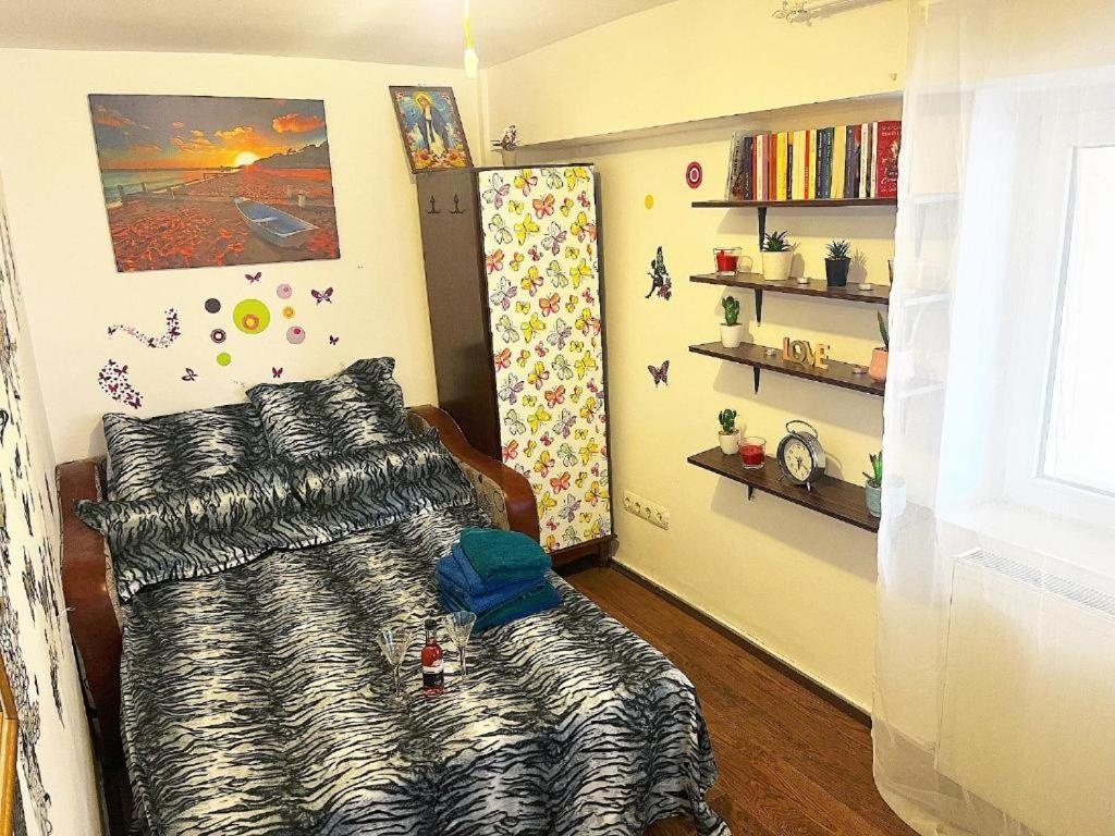 Apartment Andu *
