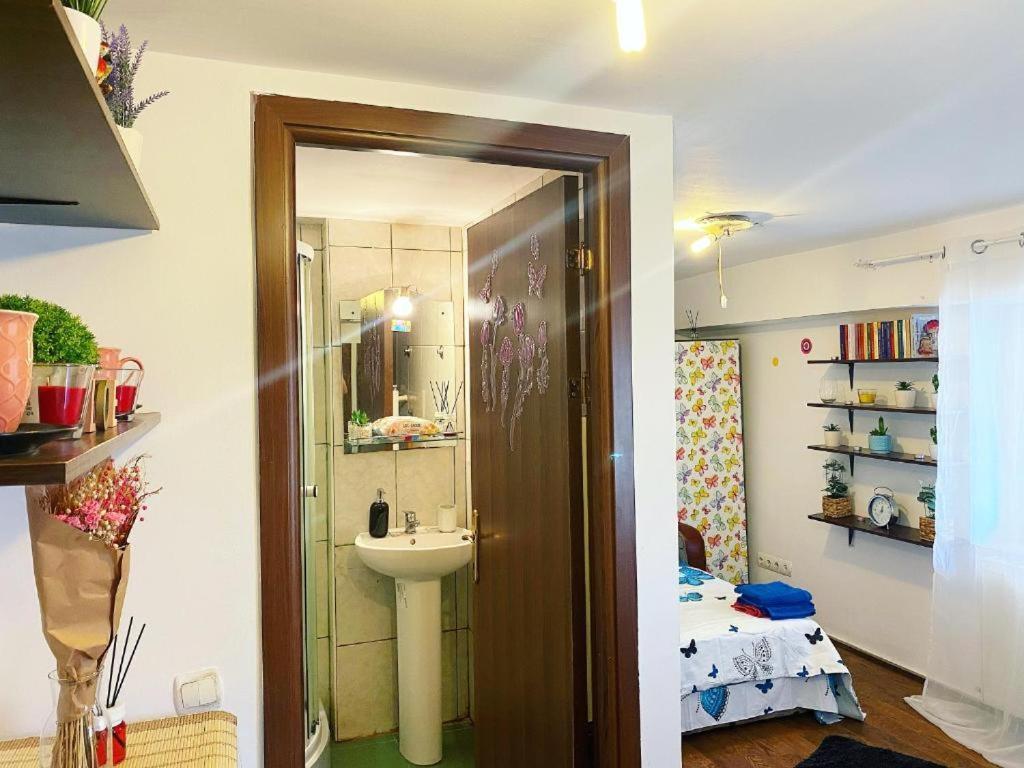 Apartment Andu Bucharest
